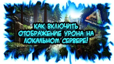 Шаг 6: Проверьте отображение скинов на сервере