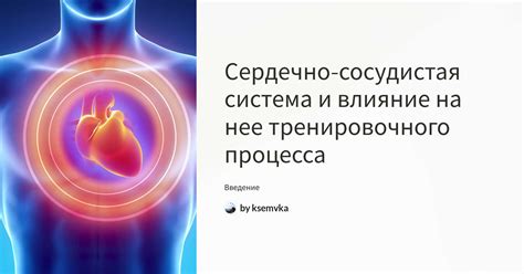 Эпинефрин и сердечно-сосудистая система: влияние на давление и работу сердца