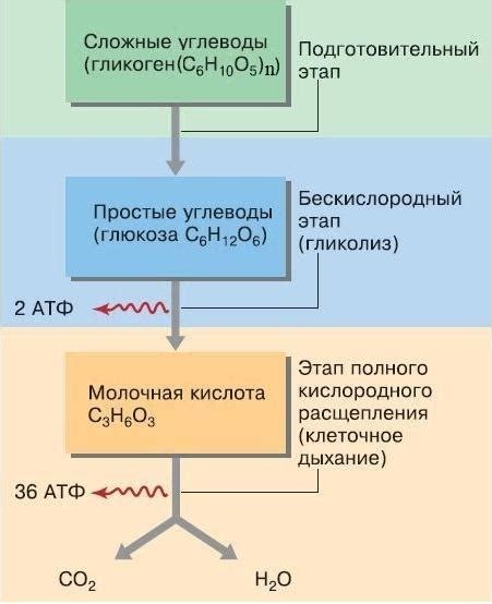 Этап три: