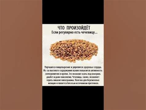 Эффекты от употребления неочищенной чечевицы