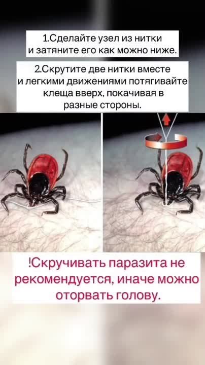  Нажмите кнопку "Заказать такси" 