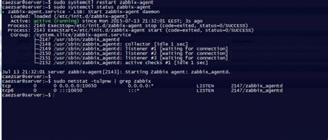  Удаление конфигурационных файлов Zabbix Agent Linux 