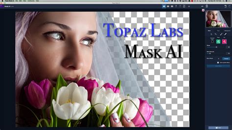 Topaz Mask AI: основные преимущества